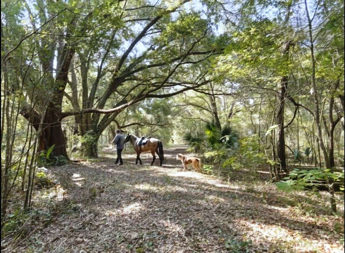 79.5 Acres of Land with Home for Sale in Archer, Florida