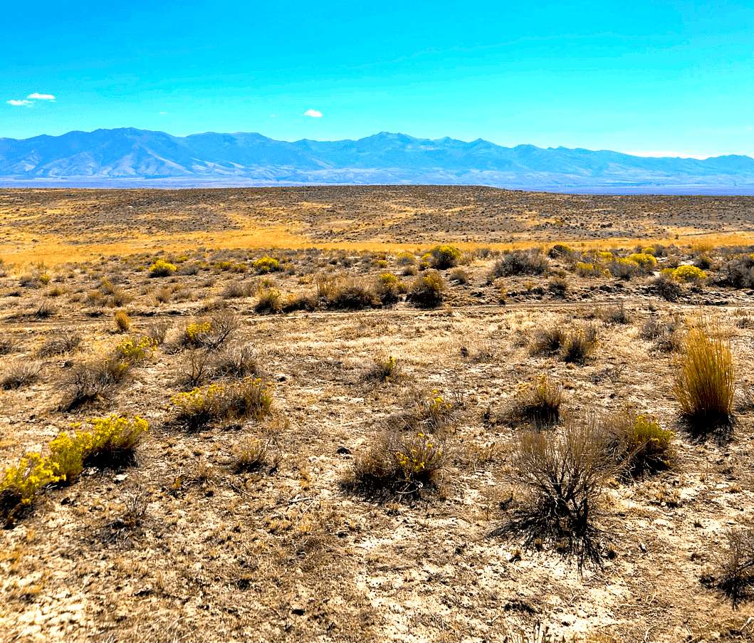 10 Acres of Recreational Land for Sale in Deeth, Nevada