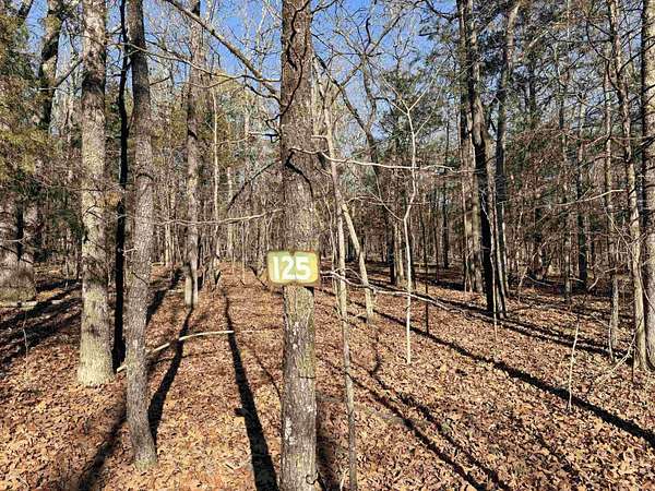 0.5 Acres of Residential Land for Sale in Drasco, Arkansas