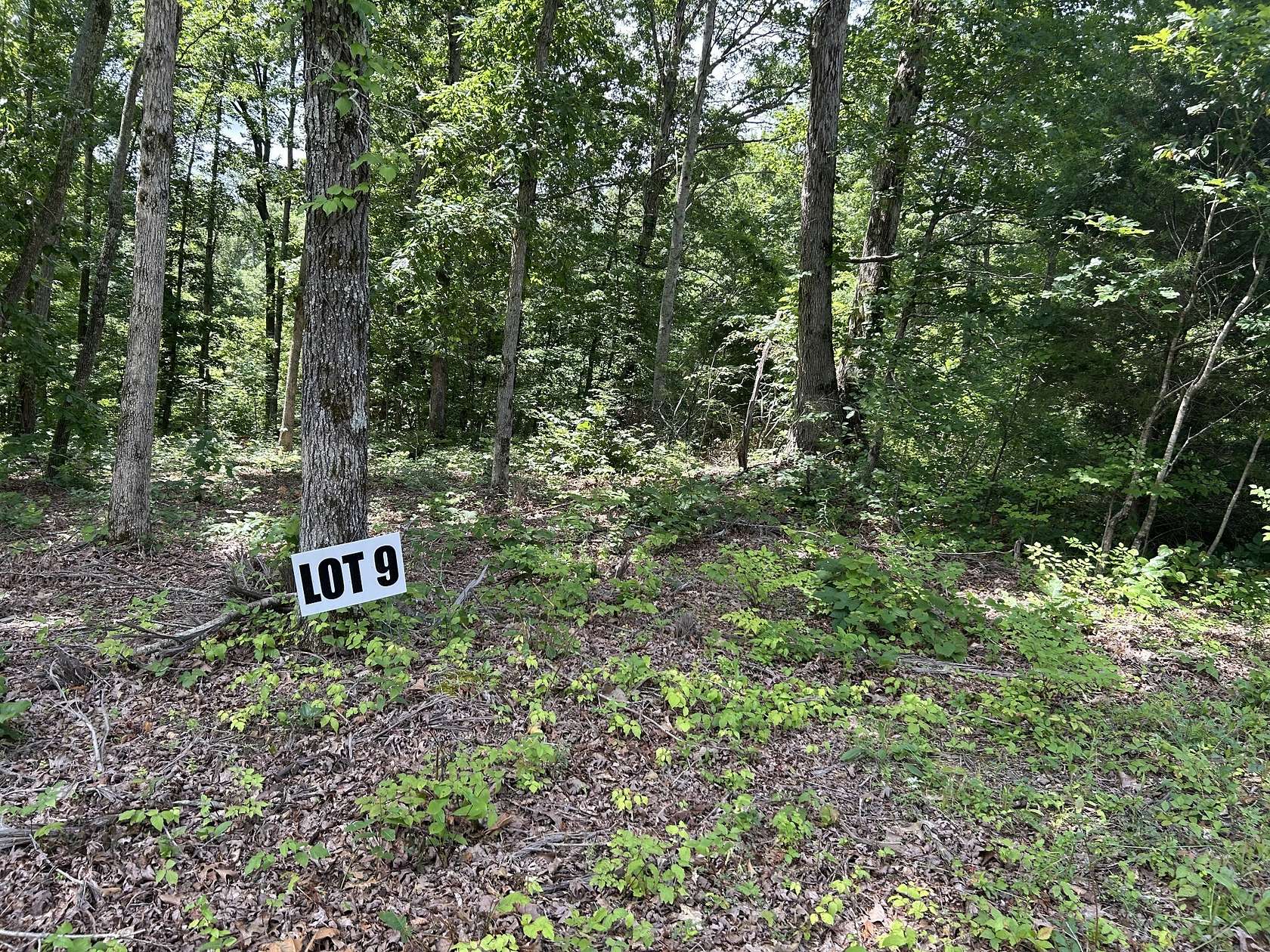 9.24 Acres of Land for Sale in Primm Springs, Tennessee
