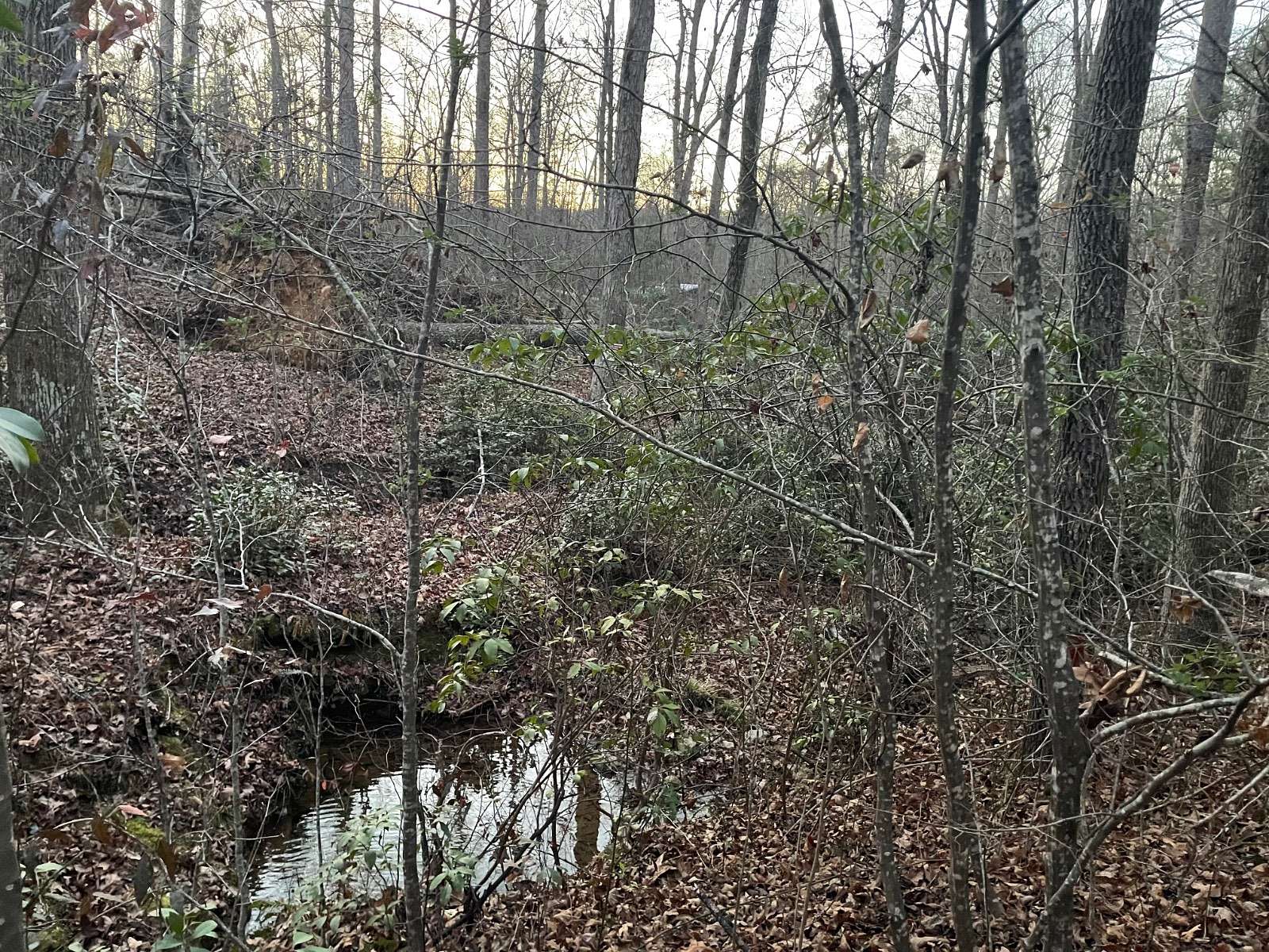 1.39 Acres of Residential Land for Sale in Mooresboro, North Carolina