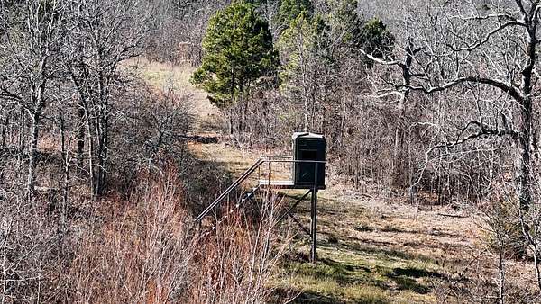 20 Acres of Recreational Land for Sale in Red Oak, Oklahoma