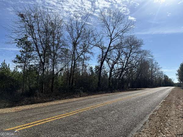 5 Acres of Residential Land for Sale in Ellaville, Georgia