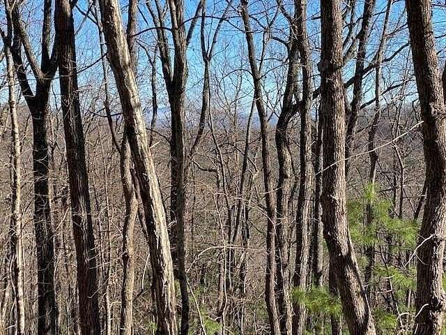 6 Acres of Land for Sale in Blue Ridge, Georgia
