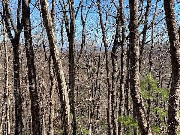 6 Acres of Land for Sale in Blue Ridge, Georgia