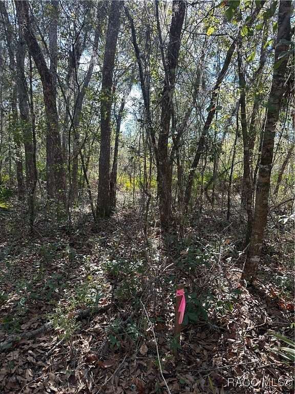 2.3 Acres of Residential Land for Sale in Crystal River, Florida