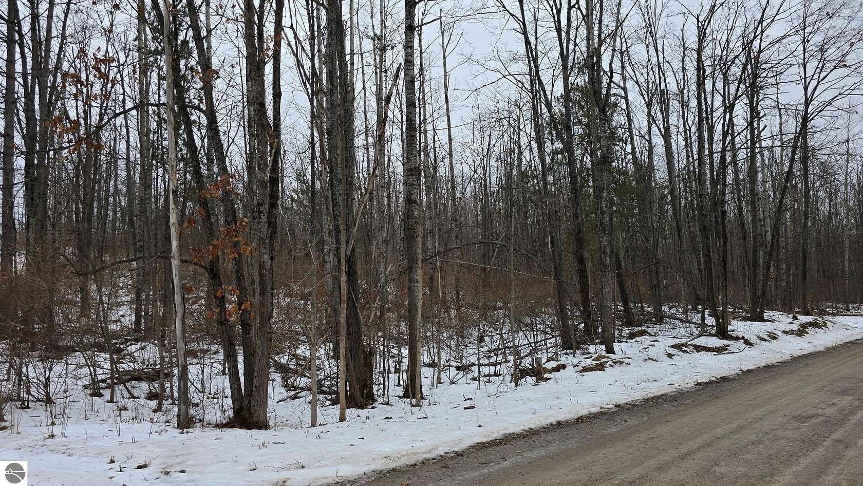 4 Acres of Land for Sale in Hubbard Lake, Michigan
