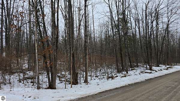 4 Acres of Land for Sale in Hubbard Lake, Michigan