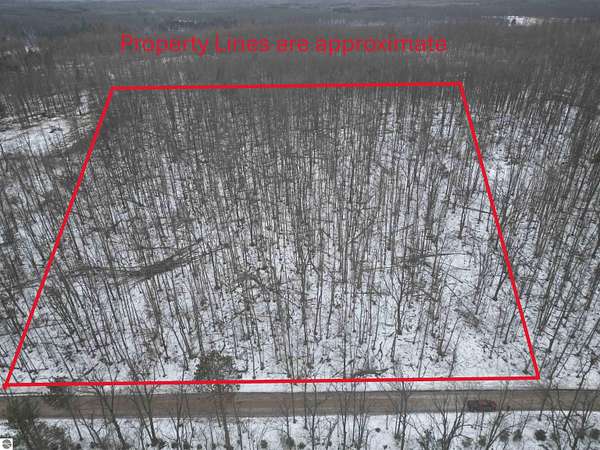 4 Acres of Land for Sale in Hubbard Lake, Michigan