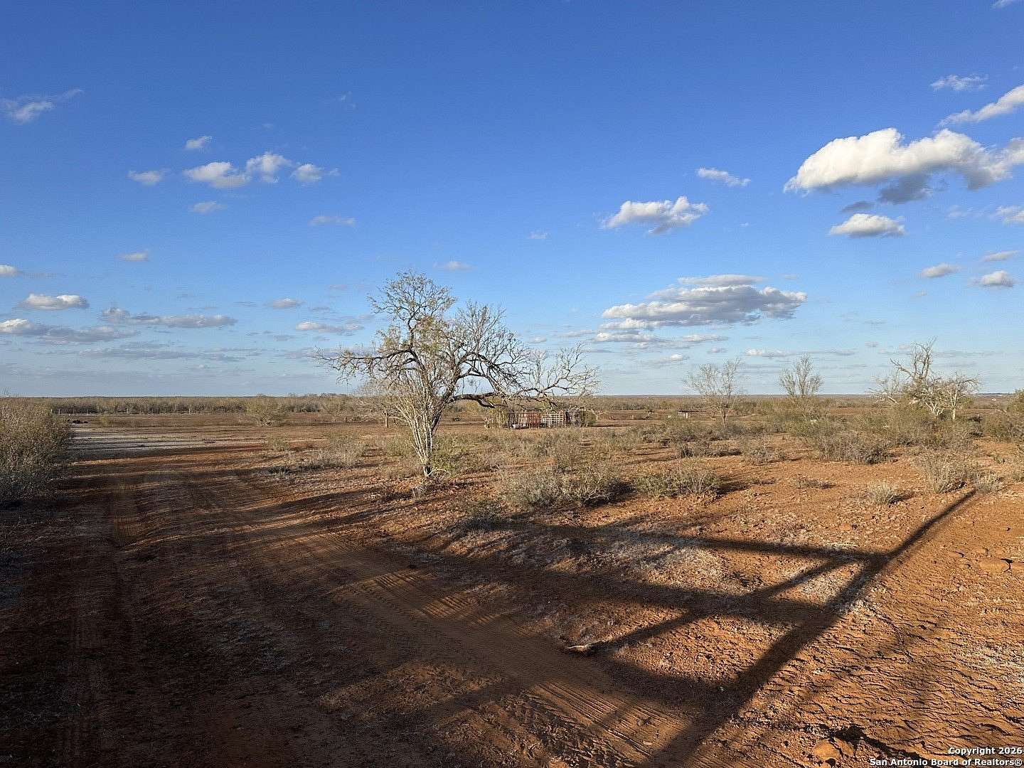 Land for Sale in Charlotte, Texas