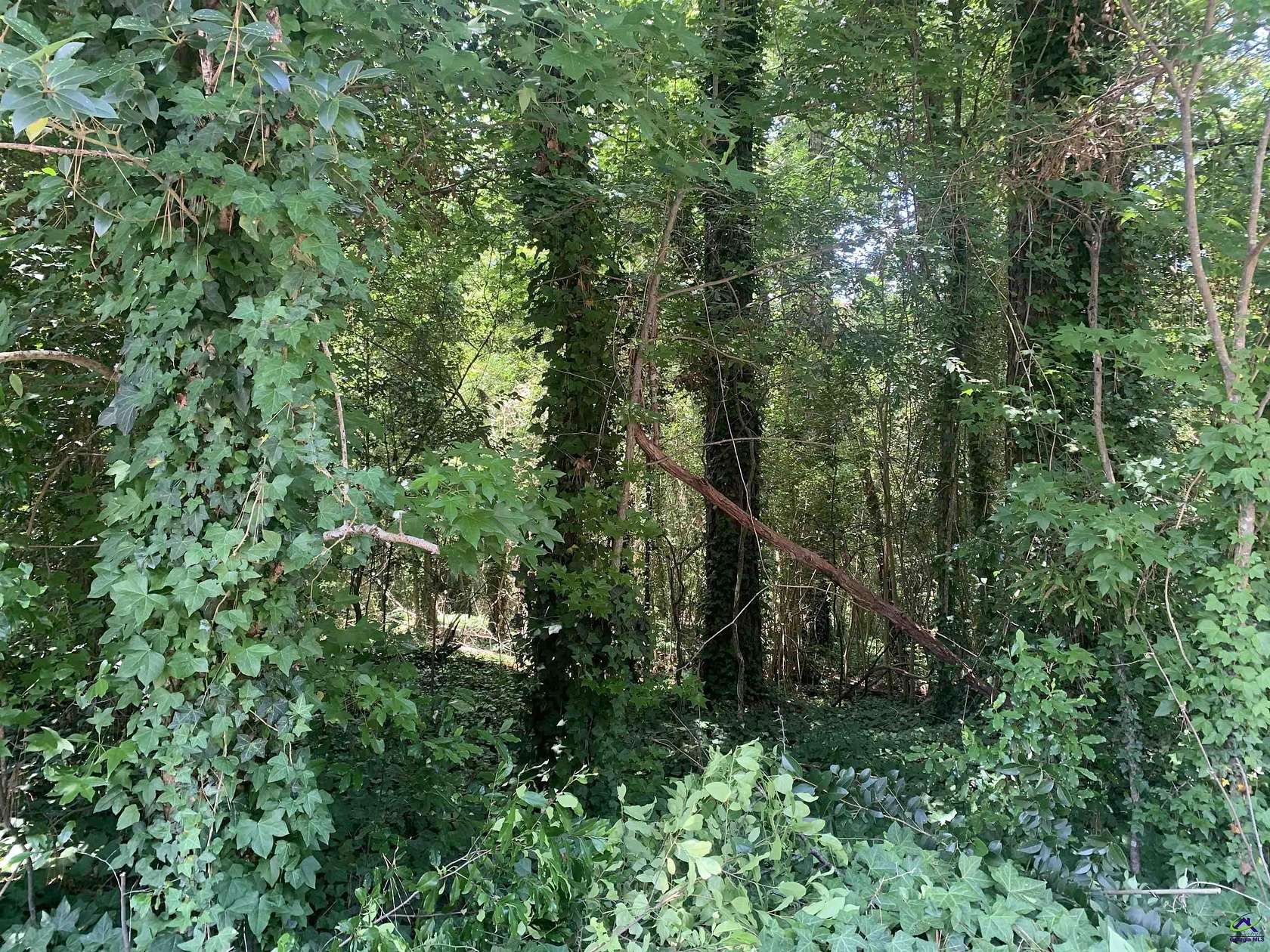 0.17 Acres of Residential Land for Sale in Macon, Georgia