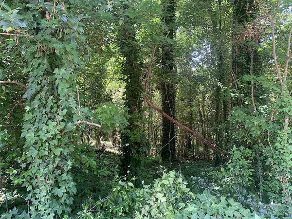 0.17 Acres of Residential Land for Sale in Macon, Georgia