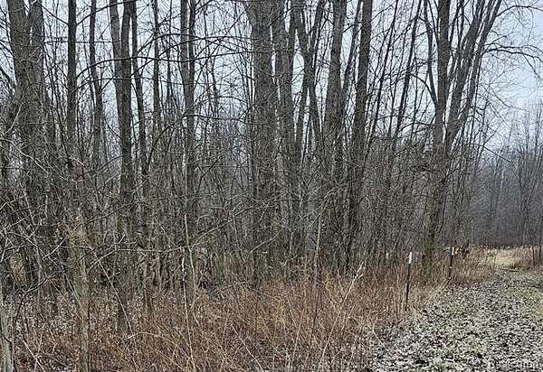 15 Acres of Land for Sale in Conway Township, Michigan