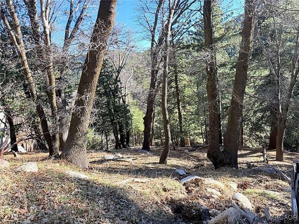 0.25 Acres of Residential Land for Sale in Cedar Glen, California