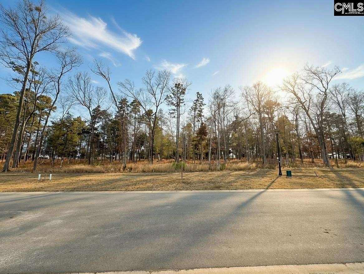 0.29 Acres of Residential Land for Sale in Chapin, South Carolina