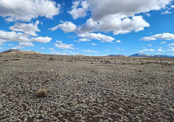 1 Acre of Residential Land for Sale in Concho, Arizona