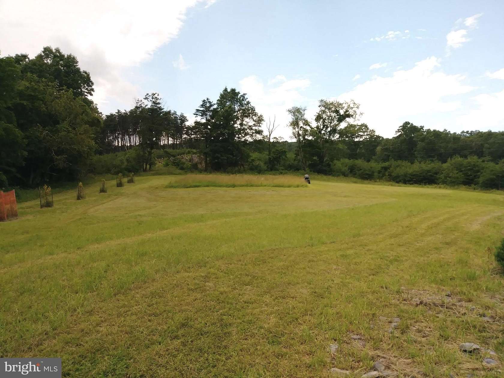20 Acres of Land for Sale in Romney, West Virginia