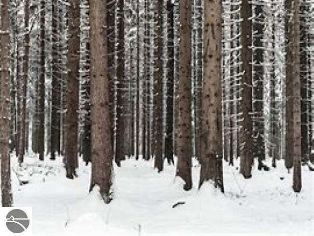 2.79 Acres of Land for Sale in Kingsley, Michigan