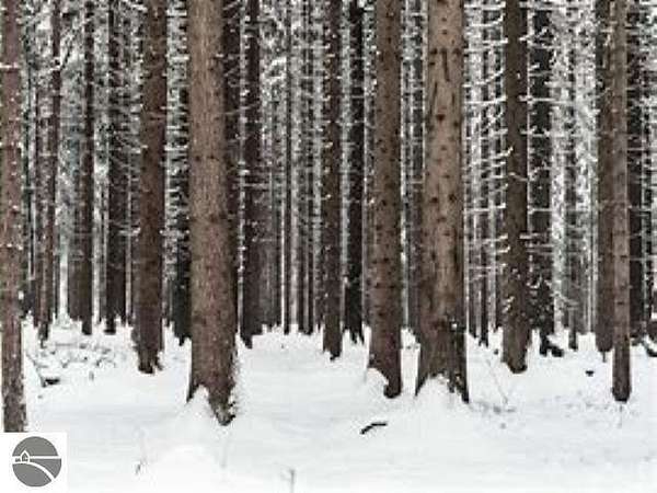 2.79 Acres of Land for Sale in Kingsley, Michigan