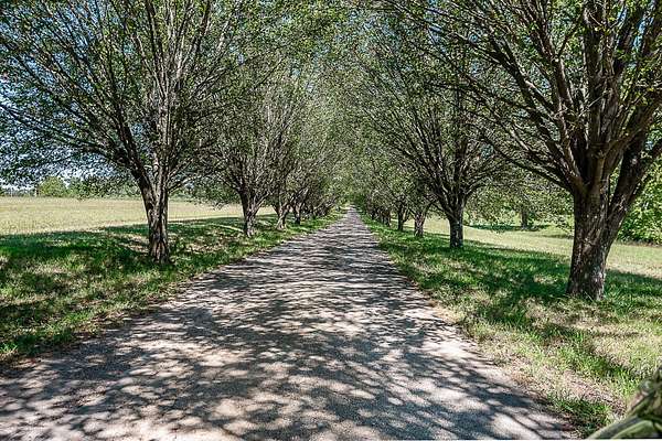 17 Acres of Land for Sale in Nixa, Missouri