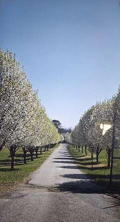 17 Acres of Land for Sale in Nixa, Missouri