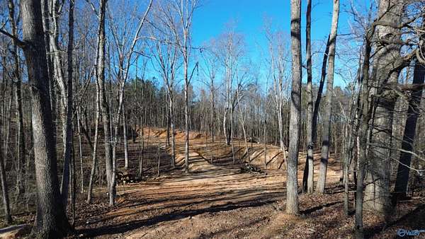 1.1 Acres of Residential Land for Sale in Boaz, Alabama