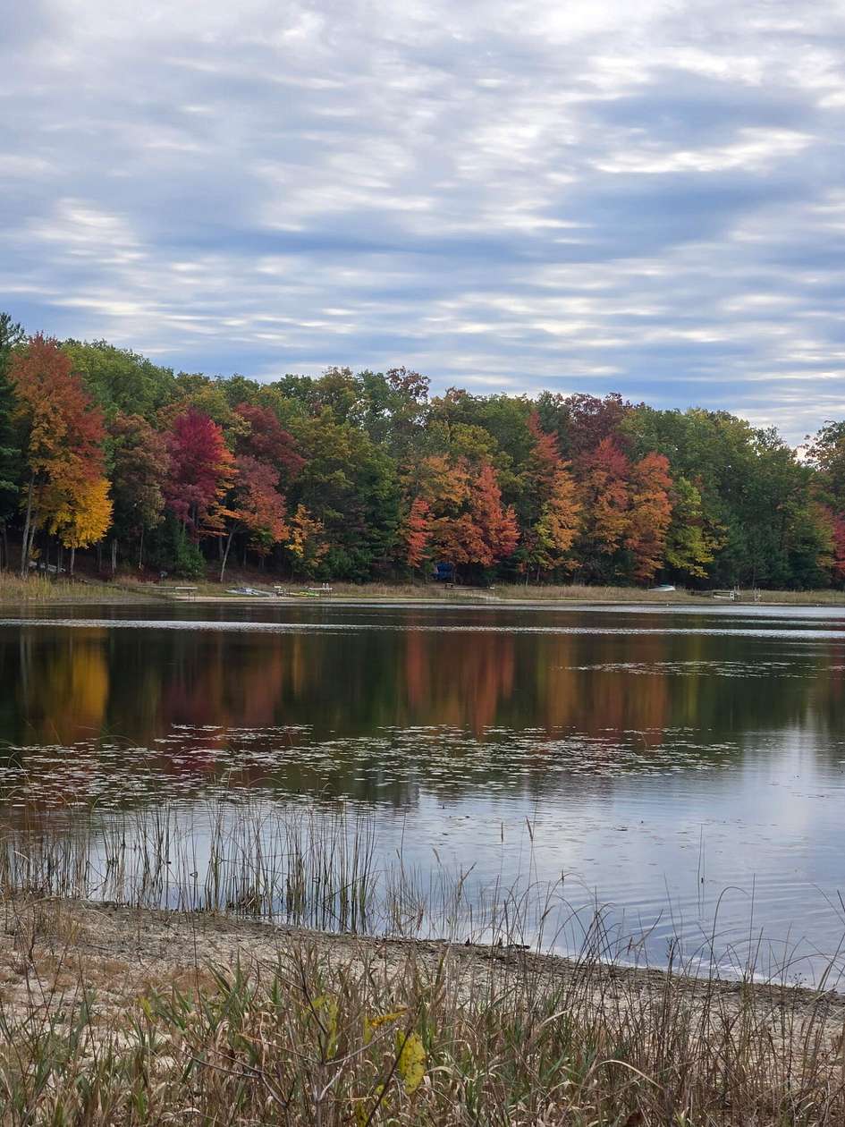 2 Acres of Residential Land for Sale in Manistee, Michigan