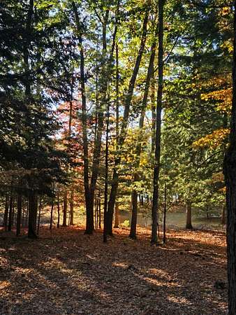 2 Acres of Land for Sale in Manistee, Michigan