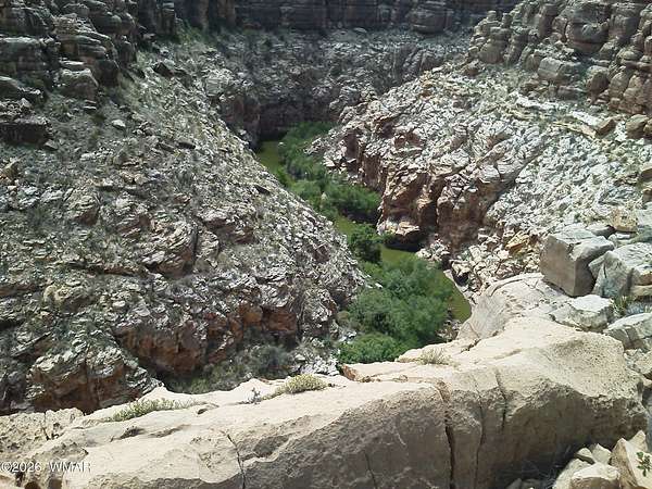 63 Acres of Land for Sale in Heber, Arizona