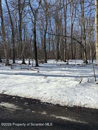 0.33 Acres of Residential Land for Sale in Newfoundland, Pennsylvania