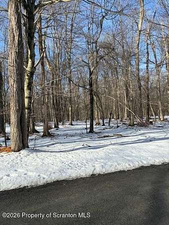 0.33 Acres of Residential Land for Sale in Newfoundland, Pennsylvania