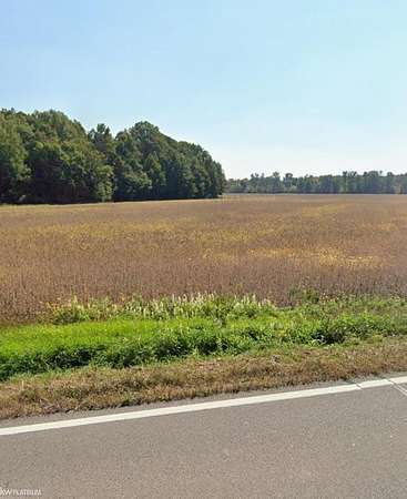 56 Acres of Agricultural Land for Sale in Armada, Michigan