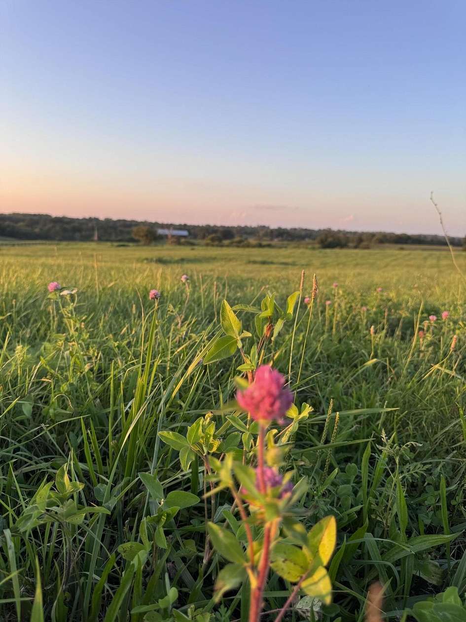 5.27 Acres of Residential Land for Sale in Wilmore, Kentucky