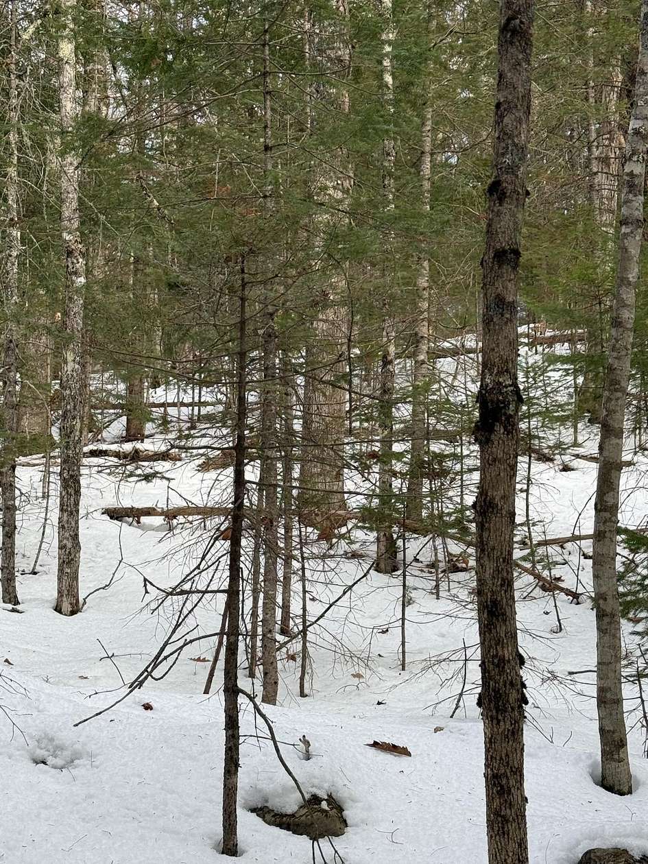 24 Acres of Recreational Land for Sale in Orrington, Maine