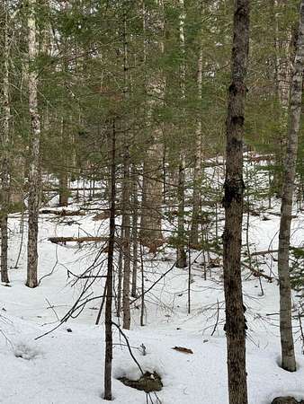 24 Acres of Recreational Land for Sale in Orrington, Maine