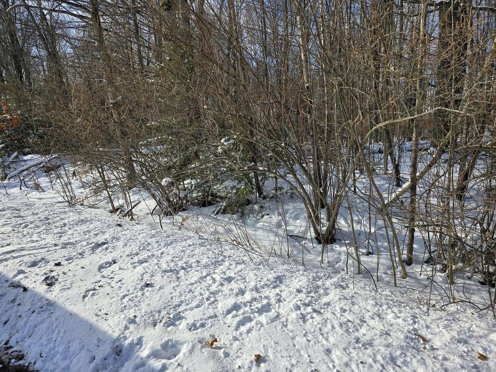 0.28 Acres of Residential Land for Sale in Roscommon, Michigan