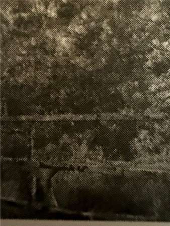 71.3 Acres of Recreational Land for Sale in Realitos, Texas