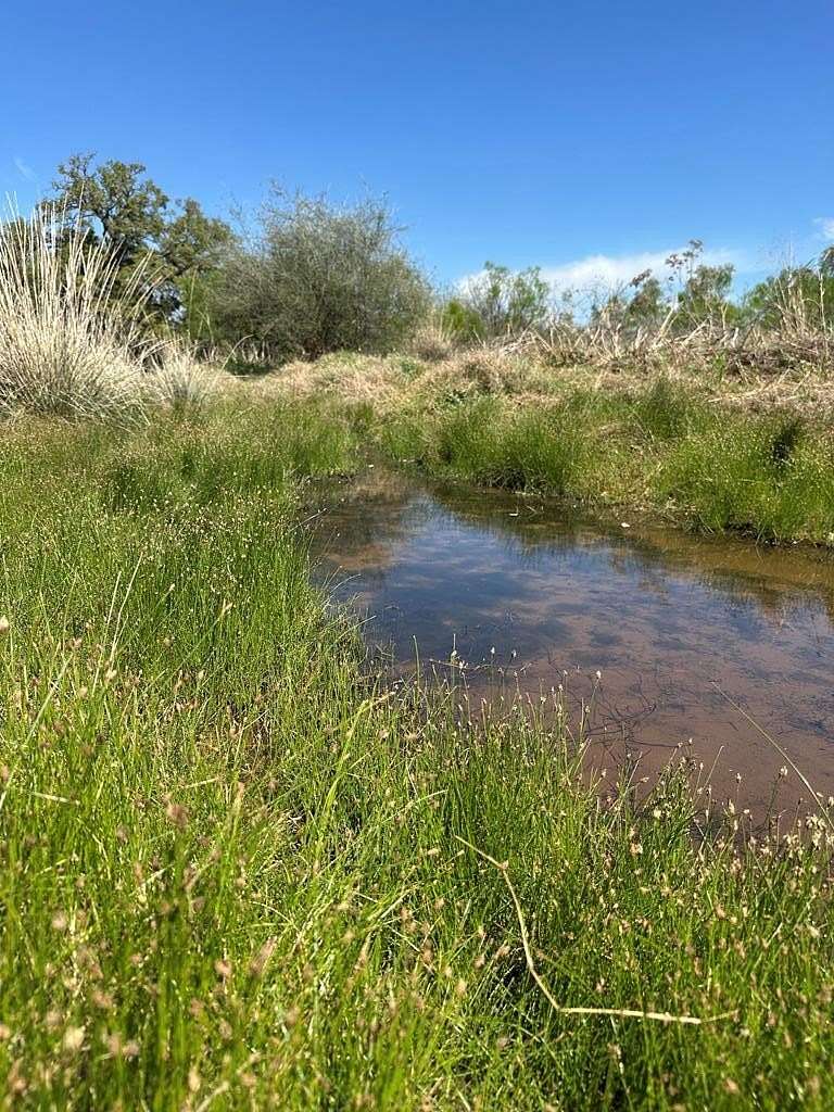 21.5 Acres of Land for Sale in Llano, Texas