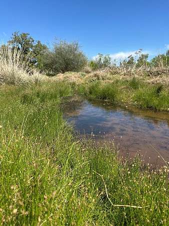21.5 Acres of Land for Sale in Llano, Texas