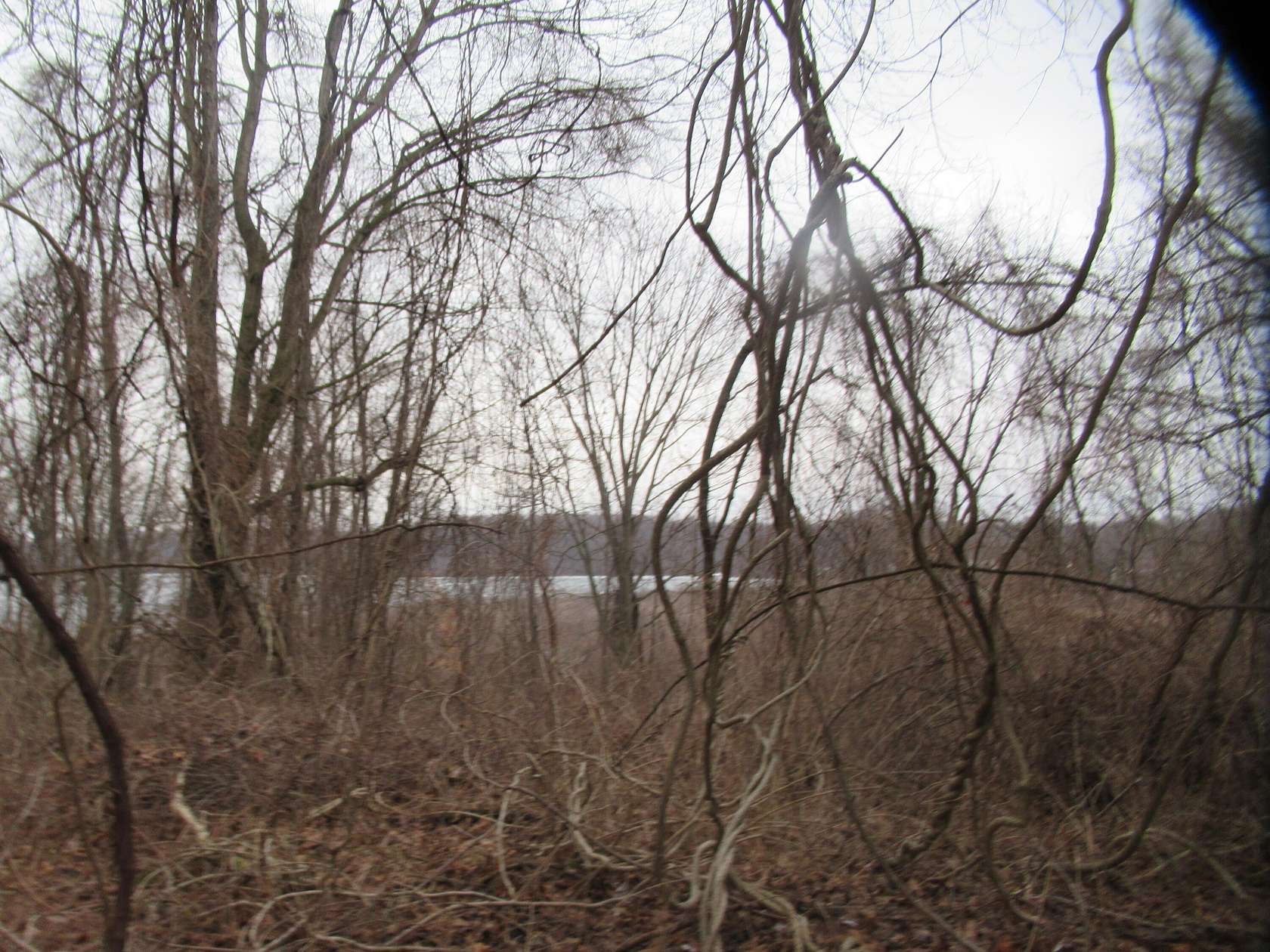 2.33 Acres of Land for Sale in Cassopolis, Michigan