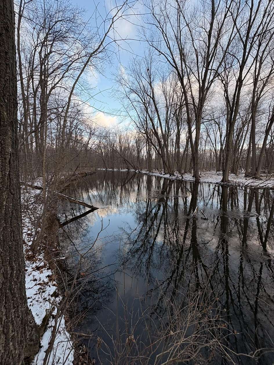 7 Acres of Land for Sale in Rives Junction, Michigan