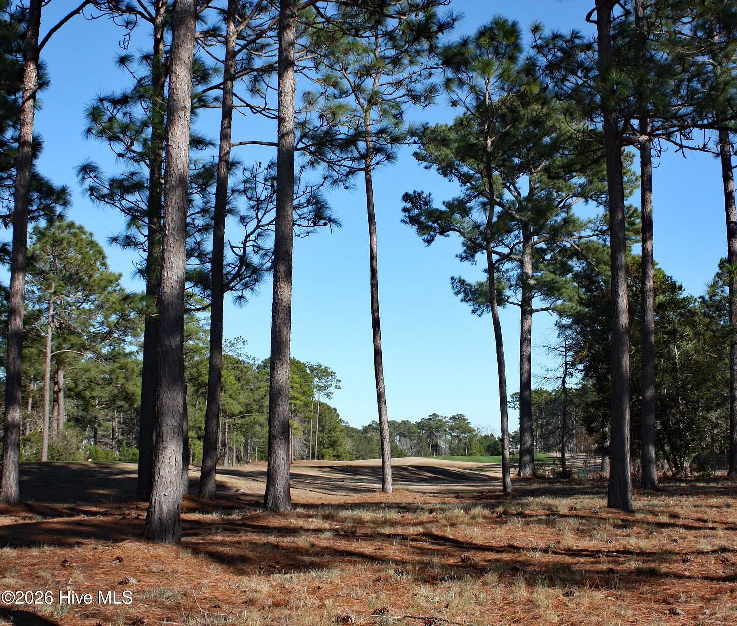 0.31 Acres of Residential Land for Sale in Shallotte, North Carolina