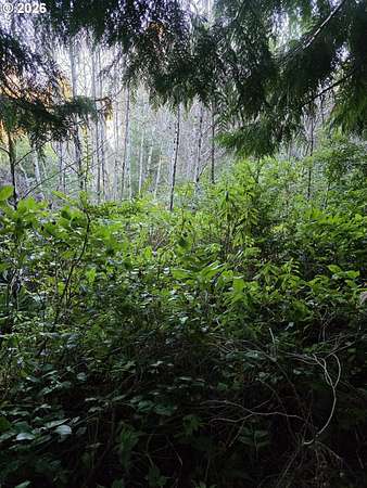 0.11 Acres of Land for Sale in Yachats, Oregon