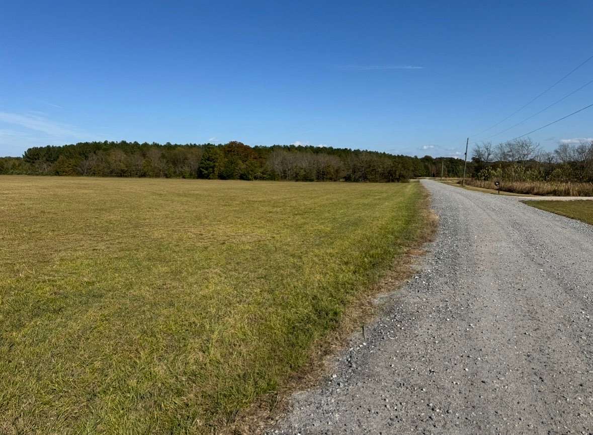 28.5 Acres of Land for Sale in Mathews, Alabama