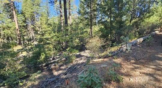 1.8 Acres of Land for Sale in Hayfork, California