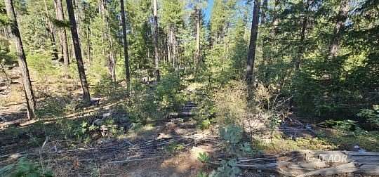 1.8 Acres of Land for Sale in Hayfork, California