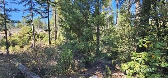 1.8 Acres of Land for Sale in Hayfork, California