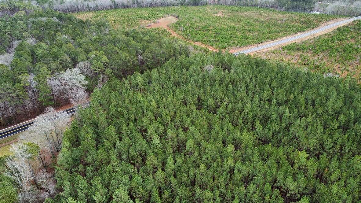 40.9 Acres of Recreational Land for Sale in Chappells, South Carolina
