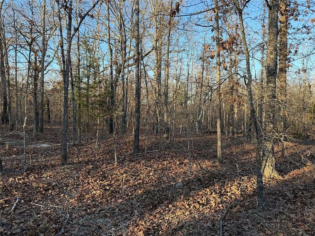 5.1 Acres of Land for Sale in Blossom, Texas