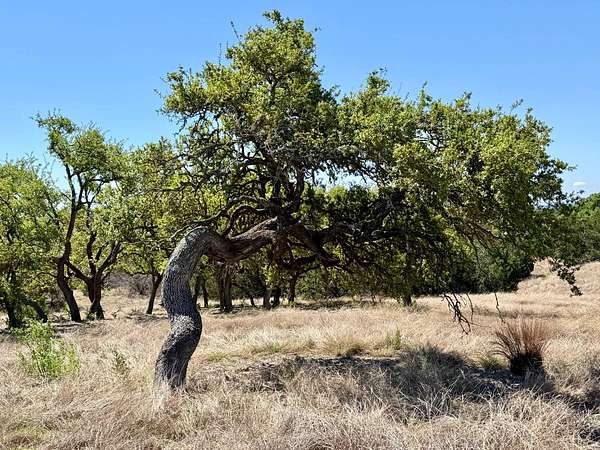 5 Acres of Residential Land for Sale in Kerrville, Texas